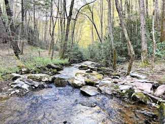 40 Acres Ivy Trail, Tellico Plains, TN 37385