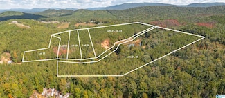 4 Acres Tuck-A-way Dr Unit 19, Piedmont, AL 36272