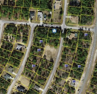 10798 N Dragonis Dr, Citrus Springs, FL 34433