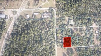 TBD NE 201st Ln, Fort Mc Coy, FL 32134