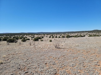 140 Brazos Loop, Estancia, NM 87016