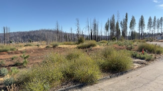 5046 Cary Dr, Grizzly Flats, CA 95636