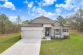 16394 Scaup Duck Ave, Brooksville, FL 34614