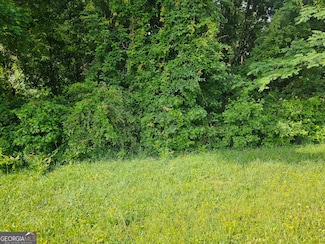 12109 Brown Bridge Rd, Covington, GA 30016