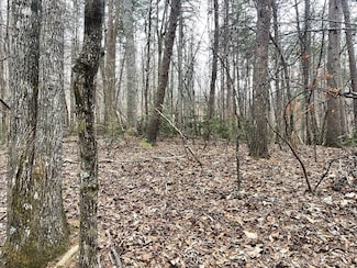 Lot 13 Wilderness Ridge Sub, Blairsville, GA 30512
