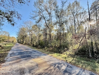 0 SW Lin Frank Line Rd Unit 4132645, Smithdale, MS 39664