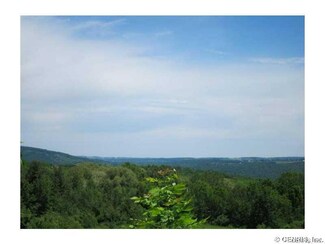 11549 County Route 78, Prattsburgh, NY 14873