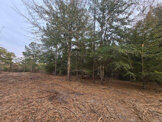 LOT 6 Blue Bonnet Valley, Williston, SC 29853
