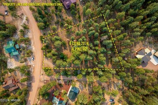 6 2074, Alpine, AZ 85920