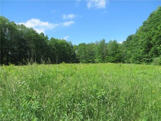 VL Riverdale Rd, Rock Creek, OH 44084