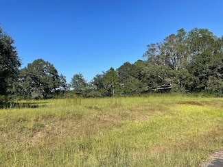 1452d Caesar Necaise Rd, Carriere, MS 39426