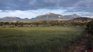 Lot 2 - TBD Colorado 133, Paonia, CO 81428