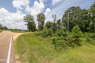 0 Midway Rd Unit 4117052, Terry, MS 39170