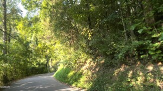 - Caney Creek Rd, Sevierville, TN 37863
