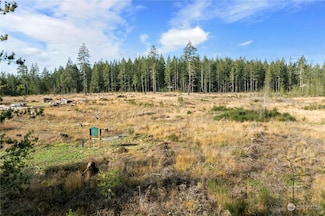 131 W Bear Grass Ln, Shelton, WA 98584