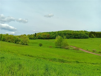 Lot 1 Kiff Brook Rd, Kortright, NY 13739