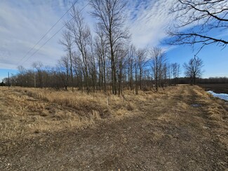 20 Acre Lot Klondike Dr, Marshfield, WI 54449