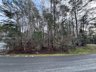 Lot 5 Highland Lake Rd, Union Hall, VA 24176