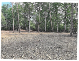 0 Warrick Barn Rd Unit 11537205, Amherst, VA 24521