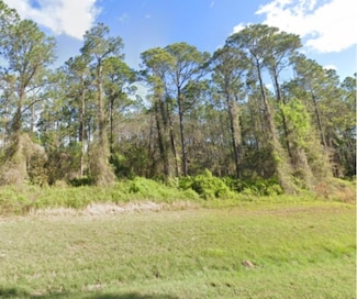 0 Georgetown Denver Rd Unit MFRO6315318, Georgetown, FL 32139