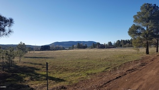 213 High Point Dr Unit 8, Mormon Lake, AZ 86038
