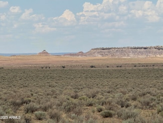 3 Lots In Carrizo Ranch -- Unit 342, 346 & 347, Saint Johns, AZ 85936