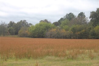 471821 (South of Roa E 650 Rd, Watts, OK 74964