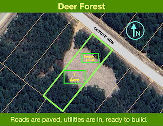 54 Coyote Run, New Waverly, TX 77358