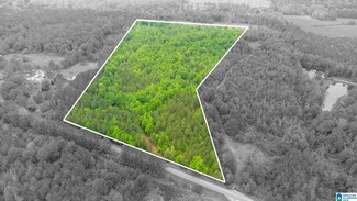 00 Cove Access Rd Unit 28, Talladega, AL 35160