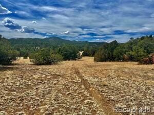 29870 County Road 16, Trinidad, CO 81082