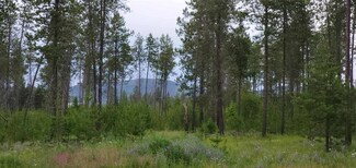 12417 E Bridges Rd, Elk, WA 99009