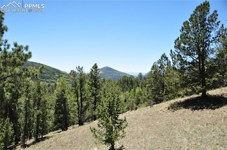 1429 Fairview Dr, Cripple Creek, CO 80813