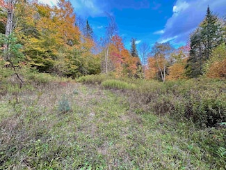 00 Washington Turnpike, Chelsea, VT 05038