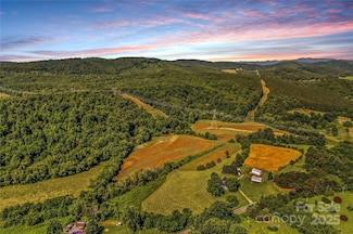1043 Linneys Mill Rd, Union Grove, NC 28689