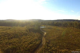 45 ac County Road 228, Elba, AL 36323