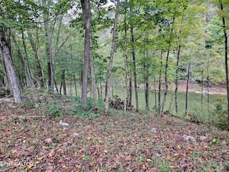 0 Claiborne Rd Unit 1300515, Lafollette, TN 37766