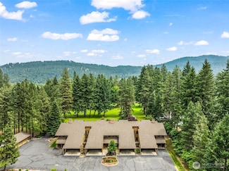 8975 Icicle Rd Unit F, Leavenworth, WA 98826