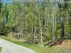 14 Stoney Creek Dr, Ripley, WV 25271