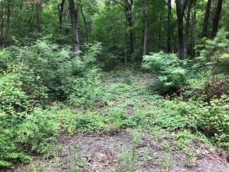 1 Smith Mountain Rd, Dunlap, TN 37327