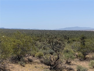 0000 Channel Dr Unit 2023, Meadview, AZ 86444