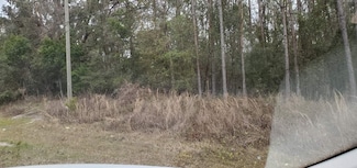 00 Foley Cutoff Rd, Perry, FL 32348