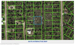 334 Falcon St, Lake Placid, FL 33852