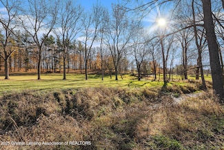 0 E Centerline Rd, St. Johns, MI 48879