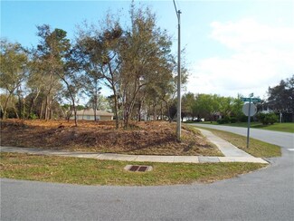 554 S Pine Meadow Dr, Debary, FL 32713
