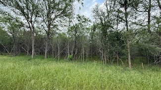 131 W Pauwela Ln, Bastrop, TX 78602