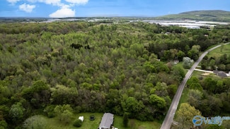 77 acres Carters Gin Rd, Toney, AL 35773