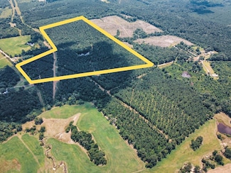 0 Bobby Cox Rd, Downsville, LA 71234