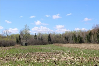 0 County Rd M - 142 Acres, Ogema, WI 54459