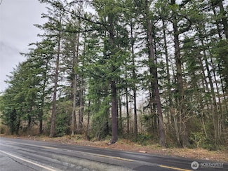 0 126th Ave E Unit NWM2354947, Graham, WA 98338