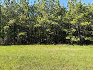 102 Faith Plantation Unit 36, Princeton, LA 71067